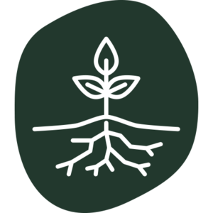 Symbol einer Pflanze mit Wurzeln und steht für Erosionsschutz.