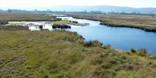 Fluss mit mehreren Wasserarmen fließt durch grüne Wiesen und Büsche, im Hintergrund bewaldete Hügel und blauer Himmel.