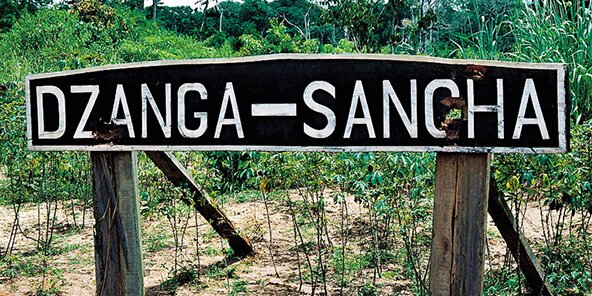 Dzanga Sangha Schild