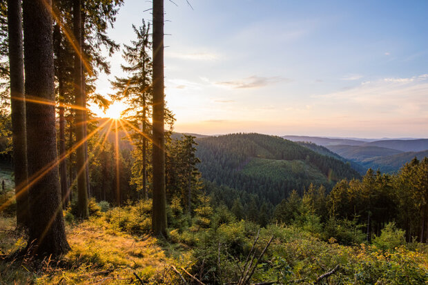 Weite Landschaft mit dicht bewaldeten Hügeln am Abend. Die Sonne geht gerade unter und blitzt zwischen den Bäumen im Vordergrund durch.